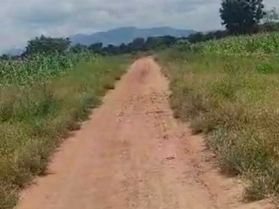 KATI KODZEME : 13 HECTARES A VENDRE