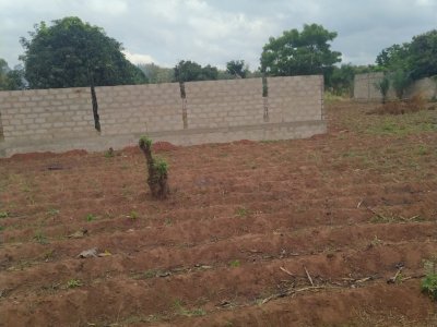 DAVIE! 6 LOTS COLLES A VENDRE