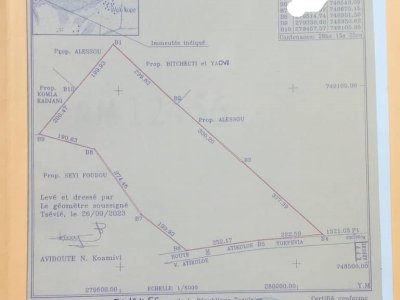 AGBELOUVE ; 10 HECTARES A VENDRE